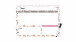 Opakowanie Planer magnetyczny 35x25 tygodniowy z nadrukiem kittens