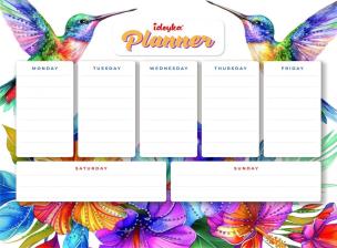 Opakowanie Planner magnetyczny z mozaiką diamentową Kolibry