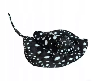 Opakowanie Płaszczka czarna 55cm