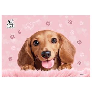 Opakowanie Podkład Clei i Frank Pies