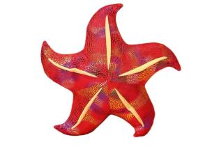 Poduszka pluszowa rozwgwiazda czerwona 20cm. Wydawca: Leantoys. Multiszop.pl Opakowanie Poduszka pluszowa rozwgwiazda czerwona 20cm