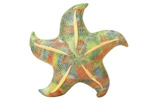 Poduszka pluszowa rozwgwiazda żółta 45cm. Wydawca: Leantoys. Multiszop.pl Opakowanie Poduszka pluszowa rozwgwiazda żółta 45cm