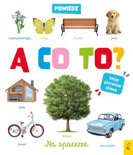 Okładka książki Powiedz a co to ? Na spacerze