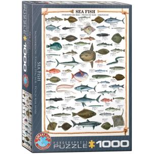 Opakowanie Puzzle 1000 Morskie ryby