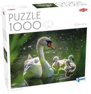 Opakowanie Puzzle 1000 Swan on Lake with Babies