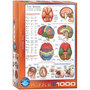 Opakowanie Puzzle 1000 The Brain 6000-0256