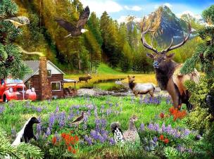 Opakowanie Puzzle 1000 W lesie