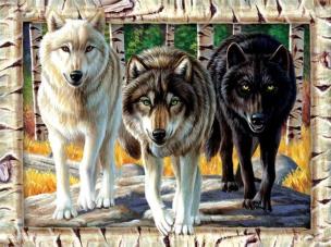 Opakowanie Puzzle 1000 Wilki