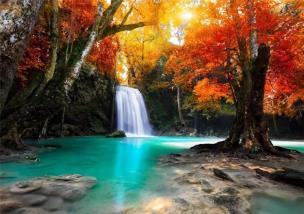 Opakowanie Puzzle 1500 Wodospad w głębi lasu