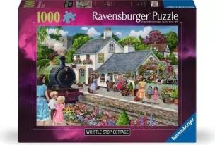 Opakowanie Puzzle 2D 1000 Stacja kolejowa