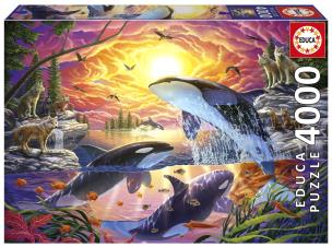 Puzzle 4000 Uwolnić orkę. Wydawca: Educa. Multiszop.pl Opakowanie Puzzle 4000 Uwolnić orkę