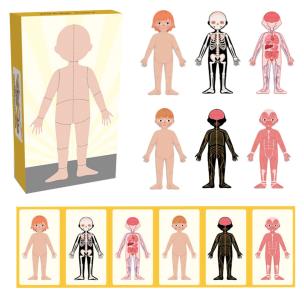 Puzzle Magnetyczne Moje ciało. Wydawca: Askato. Multiszop.pl Opakowanie Puzzle Magnetyczne Moje ciało