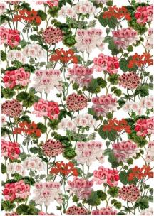 Opakowanie Ręcznik kuchenny - Pelargonia