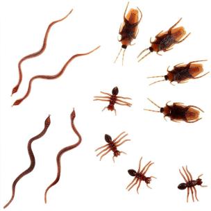 Robaki rekwizyt halloweenowy 6szt. Wydawca: ARPEX. Multiszop.pl Opakowanie Robaki rekwizyt halloweenowy 6szt