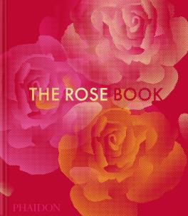 Okładka książki Rose Book