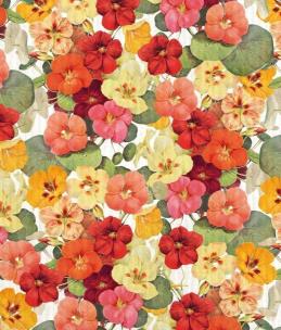 Opakowanie Ściereczka do naczyń Nasturcja STDISH26