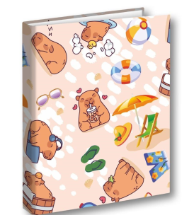 Opakowanie Segregator A4/2 Kapibara plaża PENMATE