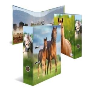 Opakowanie Segregator Koń 7cm