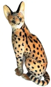 Opakowanie Serwal 49cm