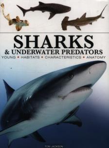 Okładka książki Sharks & Underwater Predators [mini edition]