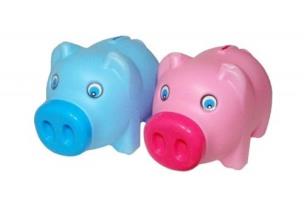 Opakowanie Skarbonka świnka