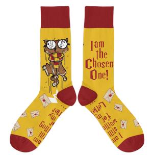 Skarpetki - Wybraniec rozm. 34/37. Wydawca: Molom. Multiszop.pl Opakowanie Skarpetki - Wybraniec rozm. 34/37