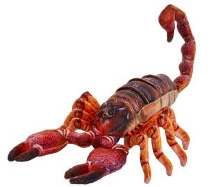 Skorpion brązowy 38cm. Wydawca: Beppe. Multiszop.pl Opakowanie Skorpion brązowy 38cm