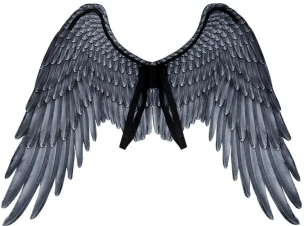 Opakowanie Skrzydła Archanioła czarne 95x75cm