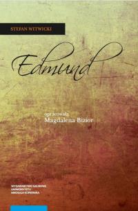 Okładka książki Stefan Witwicki