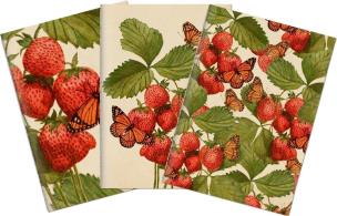 Opakowanie Stone 508 Zestaw 3 notatników A6 truskawki i motle