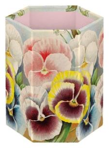 Opakowanie STPEN 500 Organizer na długopisy - bratki