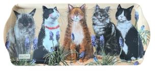 Opakowanie Taca średnia Koty