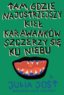 Okładka książki Tam, gdzie najostrzejszy kieł Karawanków szczerzy się ku niebu