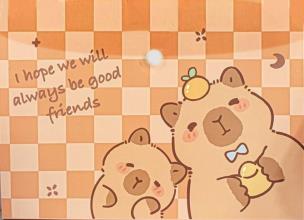 Opakowanie Teczka A4 kopertowa na zatrzask Kapibara