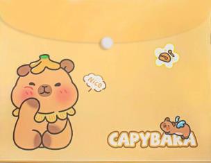 Opakowanie Teczka A4 kopertowa na zatrzask Kapibara