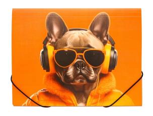 Opakowanie Teczka A4 PP na gumkę z nadrukiem Cool Dog