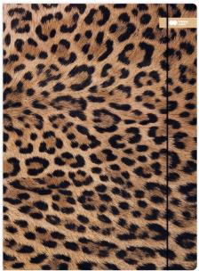 Opakowanie Teczka A4+ z gumką Safari Leopard HAPPY COLOR