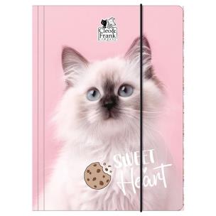 Opakowanie Teczka z gumką A4 Cleo i Frank 45 (kot) DERFORM