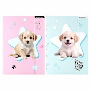 Opakowanie Teczka z gumką A4 Pieski mix