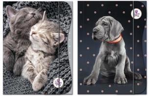 Opakowanie Teczka z gumką A4 The Sweet Pets