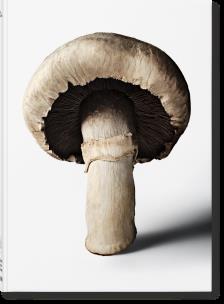 The Gourmand's Mushroom. A Collection of Stories & Recipes. Autor: The Gourmand. Multiszop.pl Okładka książki The Gourmand's Mushroom. A Collection of Stories & Recipes