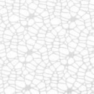 Opakowanie Tkanina dekoracyjna siatka koronkowa biała 60x50cm