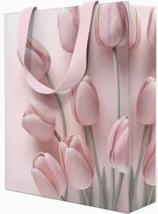 Opakowanie Torebka prezentowa 23x18x10cm