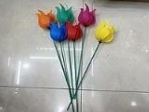 Opakowanie Tulipan 45cm MIX