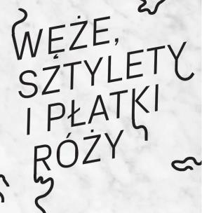 Okładka książki Węże, sztylety i płatki róży. Polska ilustracja...