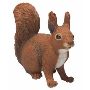 Opakowanie Wiewiórka