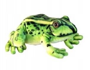 Opakowanie Żaba 28cm