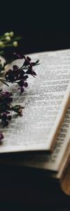 Opakowanie Zakładka do książki Biblia
