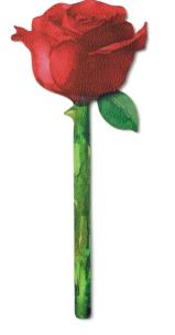 Opakowanie Zakładka do książki kwiaty - Malowana róża