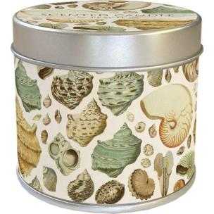 Opakowanie Zapachowa świeczka Muszle - zapach brzoskwiniowy